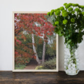 Farbige Blätter des Herbstes Fotodruck