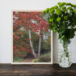 Farbige Blätter des Herbstes Fotodruck