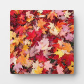 Farbige Blätter des Herbstes Fotoplatte (Vorderseite)