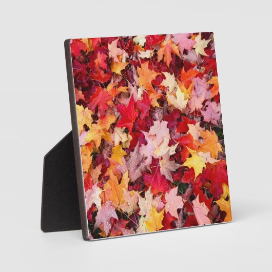 Farbige Blätter des Herbstes Fotoplatte (Vorderseite)