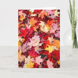 Farbige Blätter des Herbstes Karte