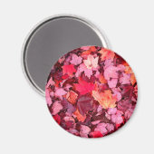 Farbige Blätter des Herbstes Magnet (Vorderseite/Rückseite)