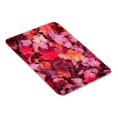 Farbige Blätter des Herbstes Magnet (Rechte Seite)