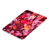 Farbige Blätter des Herbstes Magnet (Linke Seite)