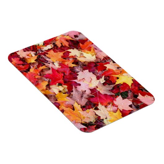 Farbige Blätter des Herbstes Magnet (Rechte Seite)