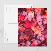 Farbige Blätter des Herbstes Postkarte (Vorne/Hinten)
