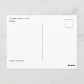 Farbige Blätter des Herbstes Postkarte (Rückseite)