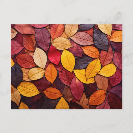 Farbige Blätter des Herbstes Postkarte (Vorderseite)