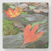 Farbige Blätter des Herbstes Steinuntersetzer (Vorderseite)