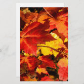 Farbige Blätter im Herbst, goldfarbenes orangefarb Briefpapier (Vorne/Hinten)