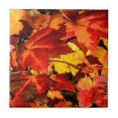 Farbige Blätter im Herbst, goldfarbenes orangefarb Fliese (Vorderseite)