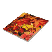 Farbige Blätter im Herbst, goldfarbenes orangefarb Fliese (Seite)