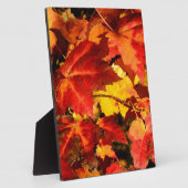 Farbige Blätter im Herbst, goldfarbenes orangefarb Fotoplatte (Seite)