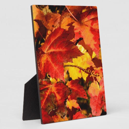 Farbige Blätter im Herbst, goldfarbenes orangefarb Fotoplatte (Seite)