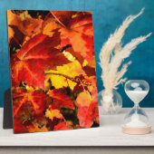 Farbige Blätter im Herbst, goldfarbenes orangefarb Fotoplatte (Seite)