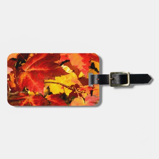 Farbige Blätter im Herbst, goldfarbenes orangefarb Gepäckanhänger (Vorderseite horizontal)