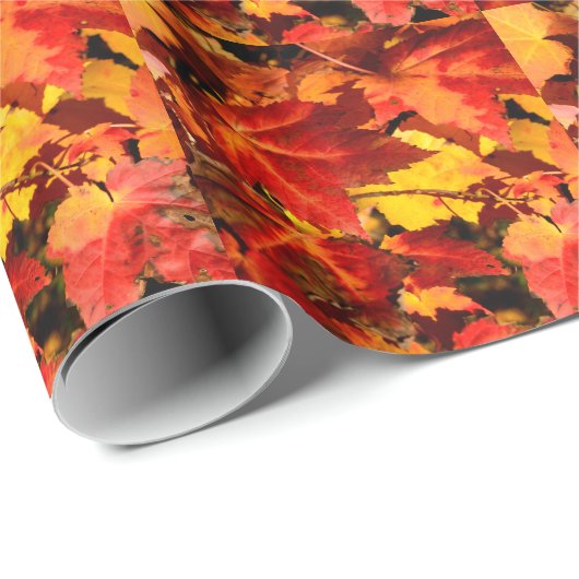 Farbige Blätter im Herbst, goldfarbenes orangefarb Geschenkpapier (Rolleneckpunkt)