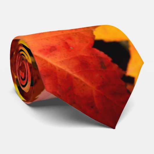 Farbige Blätter im Herbst, goldfarbenes orangefarb Krawatte (Gerollt)