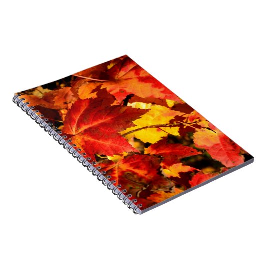 Farbige Blätter im Herbst, goldfarbenes orangefarb Notizblock (Rechte Seite)