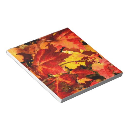 Farbige Blätter im Herbst, goldfarbenes orangefarb Notizblock (angewinkelt)