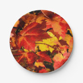 Farbige Blätter im Herbst, goldfarbenes orangefarb Pappteller (Vorderseite)