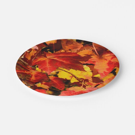 Farbige Blätter im Herbst, goldfarbenes orangefarb Pappteller (Schrägansicht)