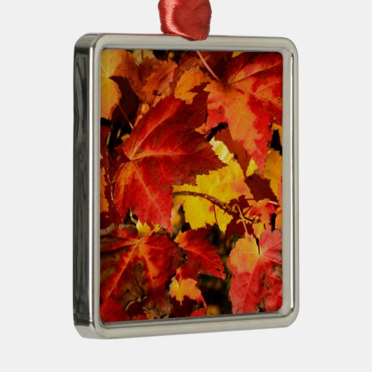 Farbige Blätter im Herbst, goldfarbenes orangefarb Silbernes Ornament (Rechts)