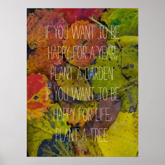 Farbige Blätter nach Regen Poster (Vorne)