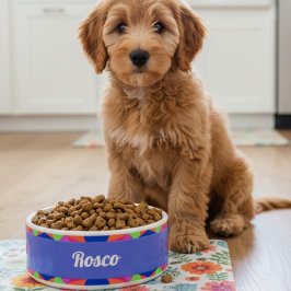 Farbige blaue Retro geometrische Keramik Pet Bowl Napf