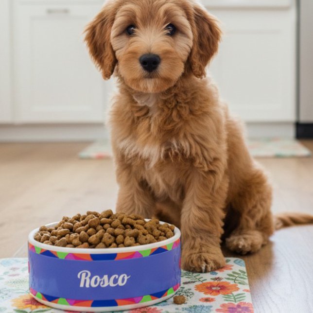 Farbige blaue Retro geometrische Keramik Pet Bowl Napf (Every dog deserves a personalized food bowl. Welcome your new pet with one of their own.)