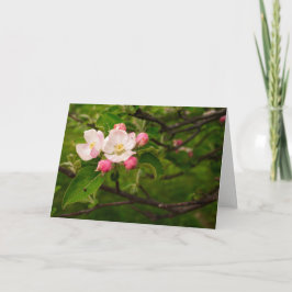 [Farbige Blume] Apple Blossom - Jeder Fall Karte
