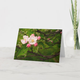 [Farbige Blume] Apple Blossom - Jeder Fall Karte