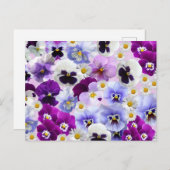 Farbige Blume aus Pansy und Daisy Postkarte (Vorne/Hinten)