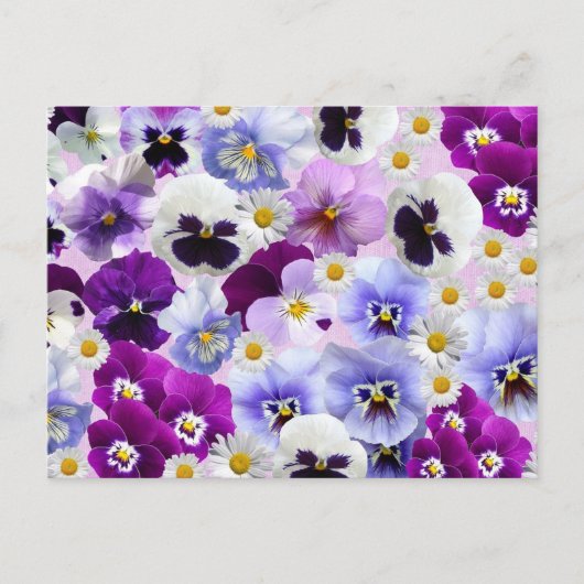 Farbige Blume aus Pansy und Daisy Postkarte (Vorderseite)