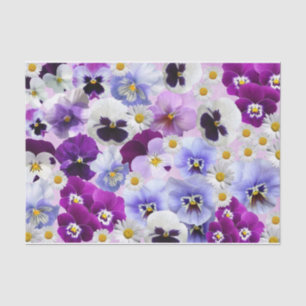 Farbige Blume aus Pansy und Daisy Seidenpapier