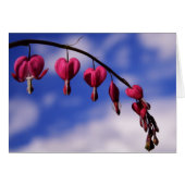 [Farbige Blume] Blutung Herzgraukarte (Vorderseite (Horizontal))