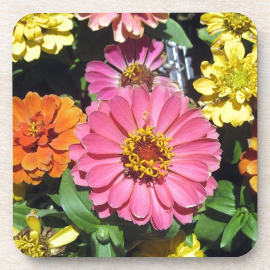 Farbige Blume Getränkeuntersetzer (Vorderseite)