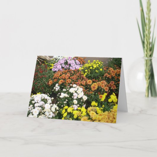 Farbige Blume im Herbst Feiertagskarte (Vorderseite)