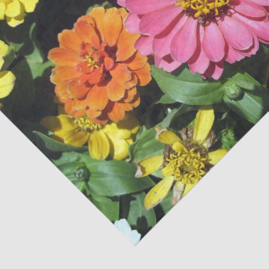 Farbige Blume, kundenspezifisches 10lb-Gewebe, Wei Seidenpapier (Ausschnitt)