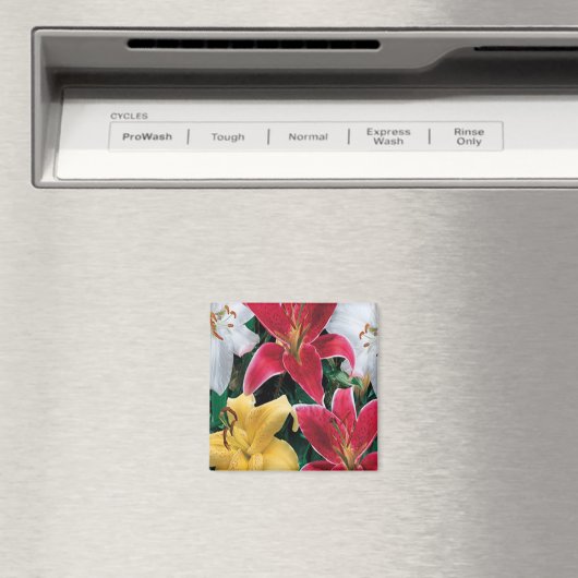 Farbige Blume Magnet (In Situ (Geschirrspüler))