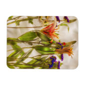 Farbige Blume Magnet (Horizontal)