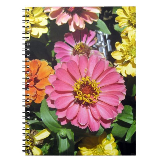 Farbige Blume Notizblock (Vorderseite)