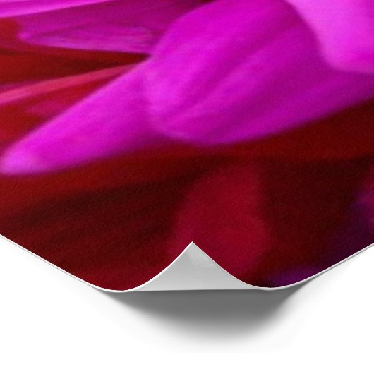 Farbige Blume Poster (Ecke)