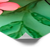 Farbige Blume Poster (Ecke)