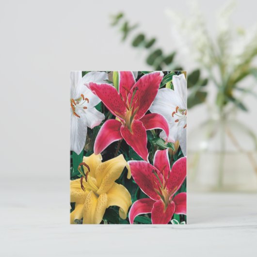 Farbige Blume Postkarte (Stehend Vorderseite)