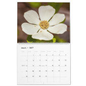Farbige Blumen  Kalender (Mär 2027)