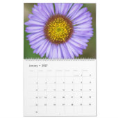 Farbige Blumen  Kalender (Jan 2027)