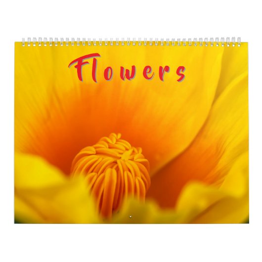 Farbige Blumen  Kalender (Titelbild)
