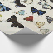 FARBIGE BUTTERFLIES Schönheit Natur Lover Geschenkpapier (Ecke)