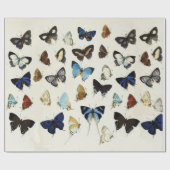 FARBIGE BUTTERFLIES Schönheit Natur Lover Geschenkpapier (Flach)
